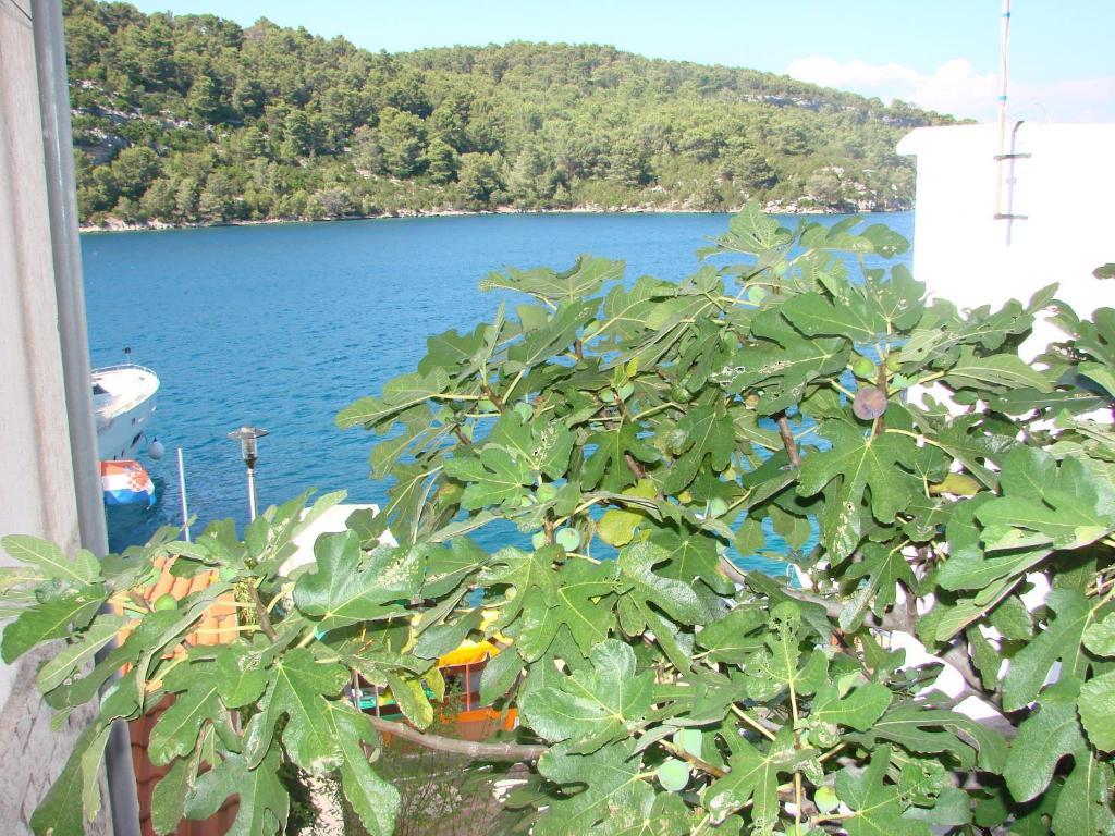 Sea House Mljet Hotell Polače Rom bilde